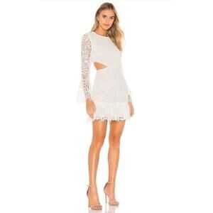 Beautiful Lace Rachel Zoe Dress with Waist Cutouts - Size 12